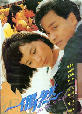 橙衣纪剧场版根系回声条目封面